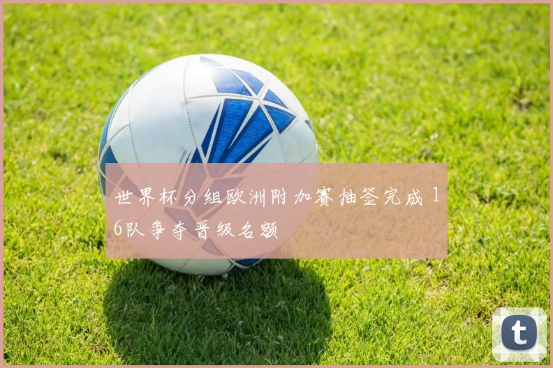 世界杯分组欧洲附加赛抽签完成 16队争夺晋级名额