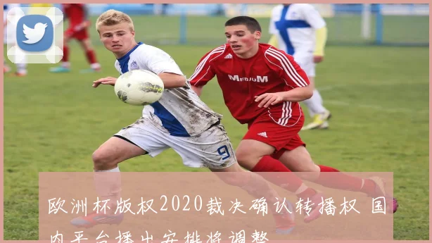 欧洲杯版权2020裁决确认转播权 国内平台播出安排将调整