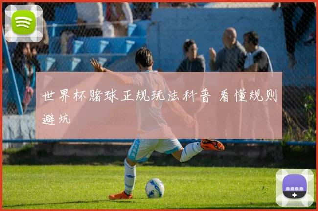 世界杯赌球正规玩法科普 看懂规则避坑