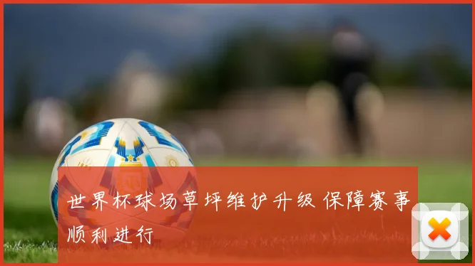 世界杯球场草坪维护升级 保障赛事顺利进行