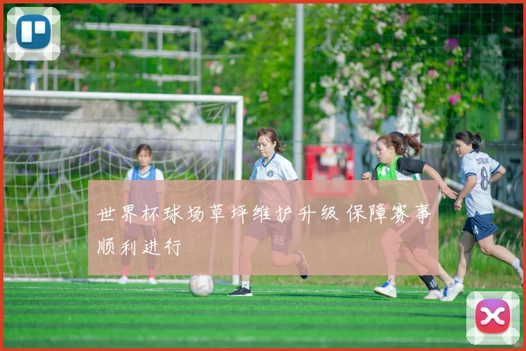 世界杯球场草坪维护升级 保障赛事顺利进行